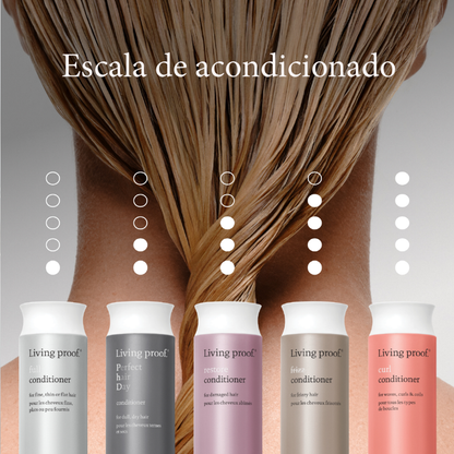 Curl Conditioner 236ml
