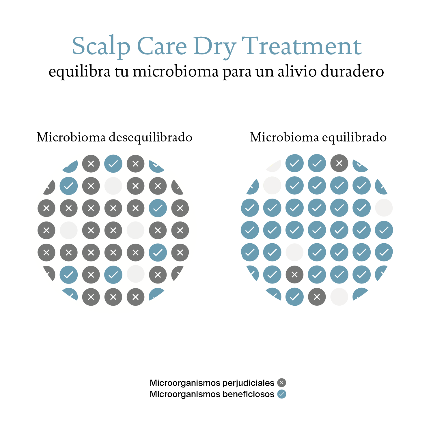 Scalp Care Dry Scalp Treatment 100 ml