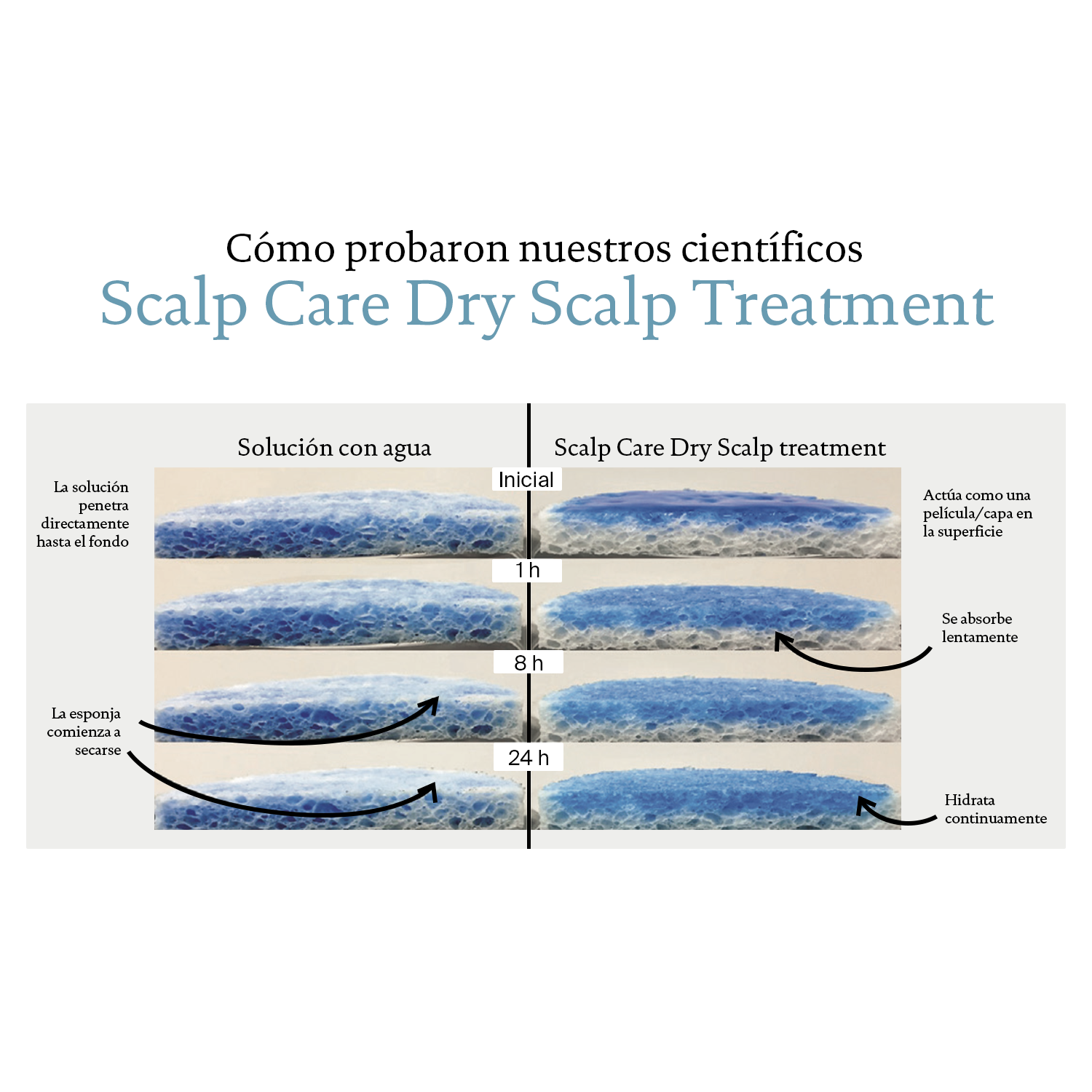 Scalp Care Dry Scalp Treatment 100 ml