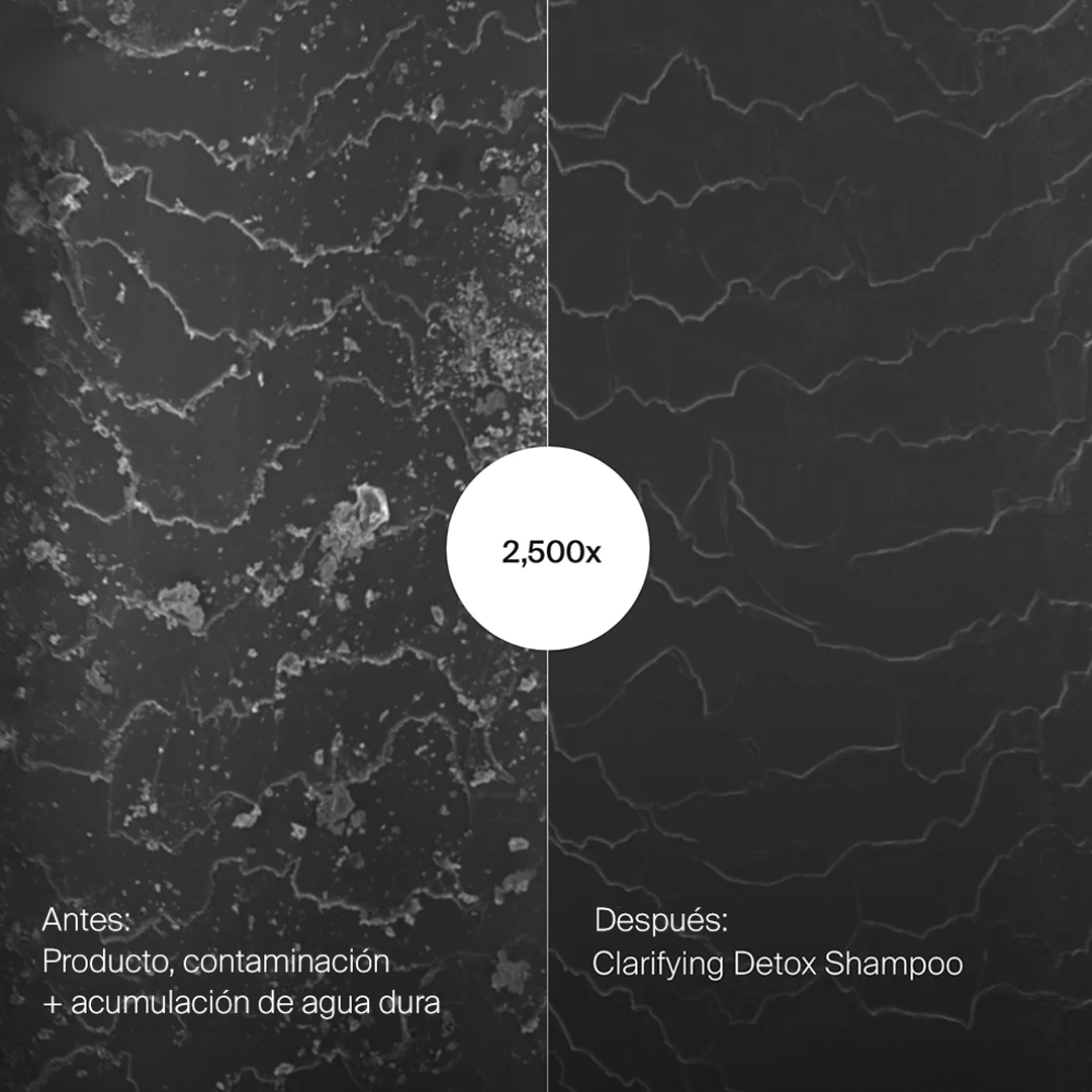 Clarifying Detox Shampoo 236 ml