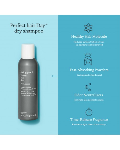 Perfect Hair Day Dry Shampoo 198 ml
